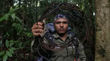 Ranger mit Schlingfalle im Leuser Nationalpark