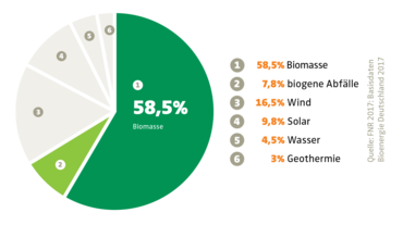 Anteil der Bioenergie bei den erneuerbaren Energien in der EU (2016)