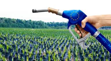 Palmöl Biosprit EU