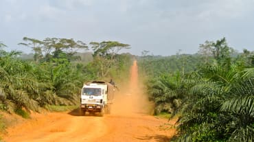 Ein Lkw fährt durch eine Palmöl-Plantage in Liberia