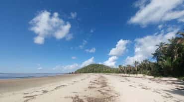 Tropischer Strand mit Palmen auf der Insel Cajual