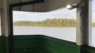 Blick von einem Schiffsdeck über das Wasser auf mit Palmen bestandenes Land im Hintergrund