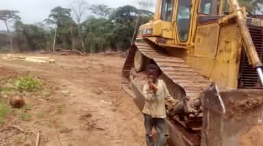 Ein kleiner Junge steht neben einem Bulldozer auf einer bereits gerodeten Fläche im Regenwald