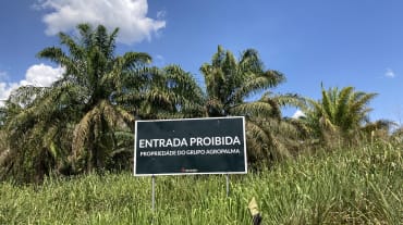 Hinweisschild des Palmölkonzerns Agropalma am Rande einer Ölpalmplantage