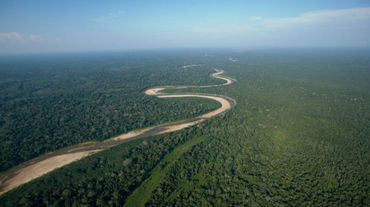 Luftaufnahmen von einem Fluss, der sich durch unberührten Regenwald im Tiefland von Bolivien schlängelt