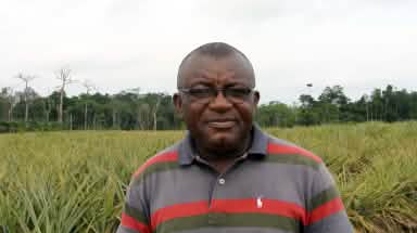 Odey Oyama vor Ananas Plantage
