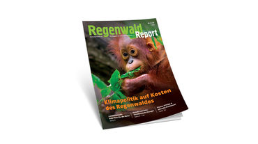 3D-Ansicht des Covers vom Regenwald Report 2/19