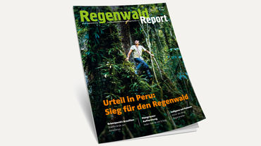 3D-Ansicht des Covers vom Regenwald Report 3/19