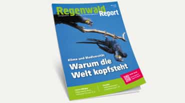 3D-Ansicht des Covers vom Regenwald Report 3/21