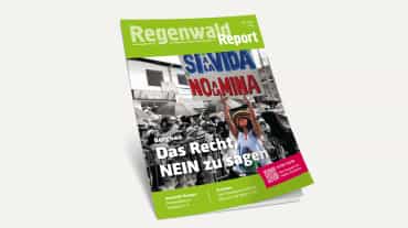 3D-Ansicht des Covers vom Regenwald Report 3/22