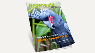 3D-Ansicht des Covers vom Regenwald Report 4/19