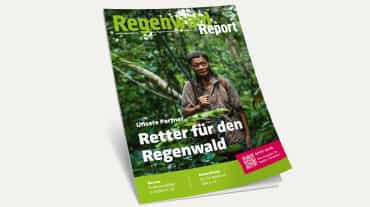 3D-Ansicht des Covers vom Regenwald Report 4/21