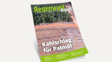 3D-Ansicht des Covers vom Regenwald Report 2/20