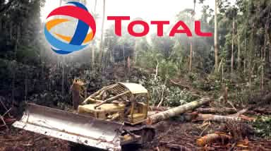 Total Regenwald Rodung