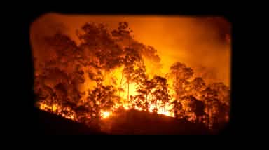 Waldbrand in Ofen