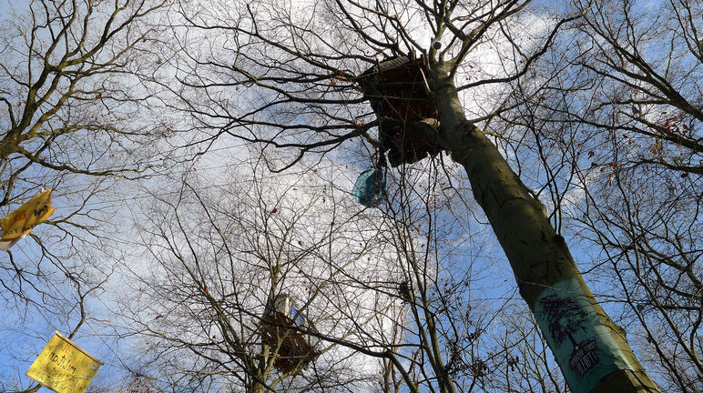 Baumhaus im Hambacher Wald