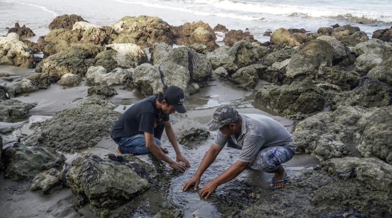 Zwei Männer zeigen Bitumen vor verschmutzter Küste