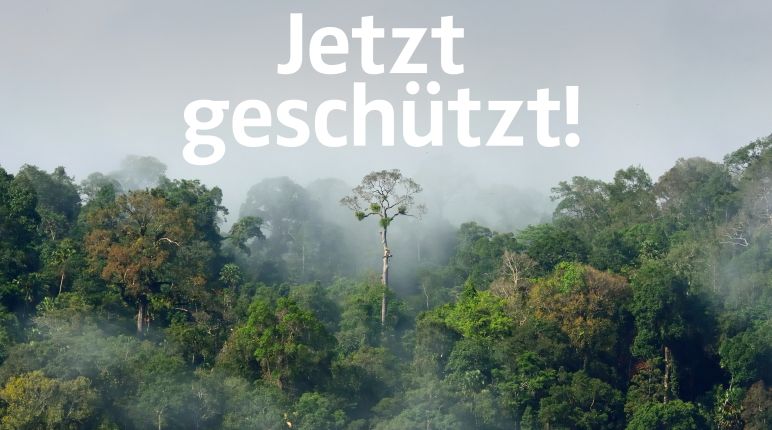 Peru: 868.927 Hektar Regenwald zum Nationalpark erklärt Amazonas Regenwald mit Text "Jetzt geschützt!"