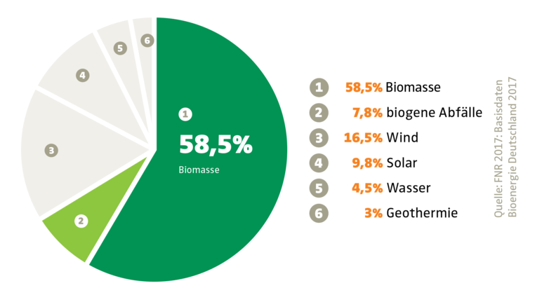 Anteil der Bioenergie bei den erneuerbaren Energien in der EU (2016). Tiere und Pflanzen sind nur noch "Biomasse" Anteil der Bioenergie bei den erneuerbaren Energien in der EU (2016)