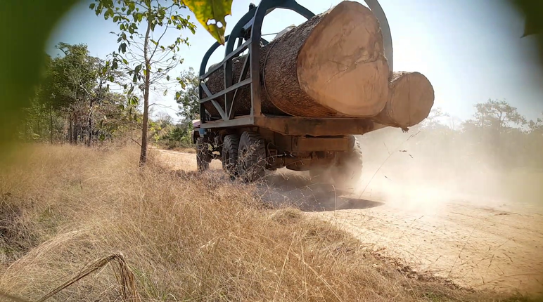Lkw schaffen illegal geschlagenes Holz aus dem Wald Holzlaster in Kambodscha