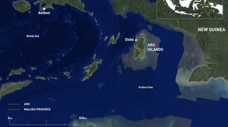 Die Aru-Inseln liegen südlich von Neuguinea Karte Neuguinea - Aru-Inseln - Australien von N nach S