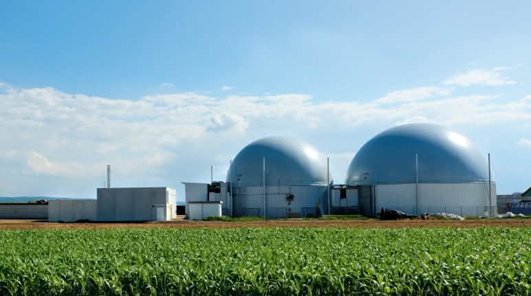 Biogasanlage und Monokulturen mit Energiemais - eine Gefahr für Mensch, Klima und Umwelt Biogasanlage