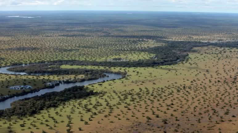 Die Cerrado-Savanne wird für Soja- und Zuckerrohrplantagen sowie Rinderweiden abgeholzt Landschaft aus der Vogelperspektive mit Wald und Fluss