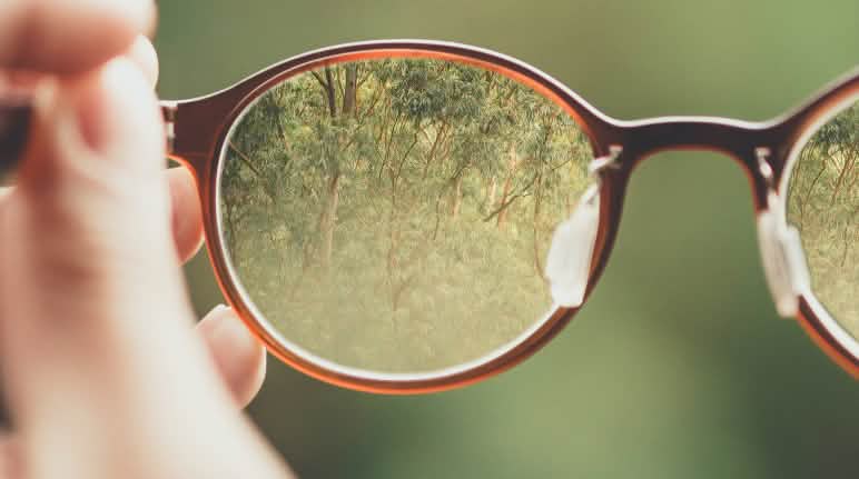 Transparenz schafft Vertrauen eine Brille stellt den Wald scharf