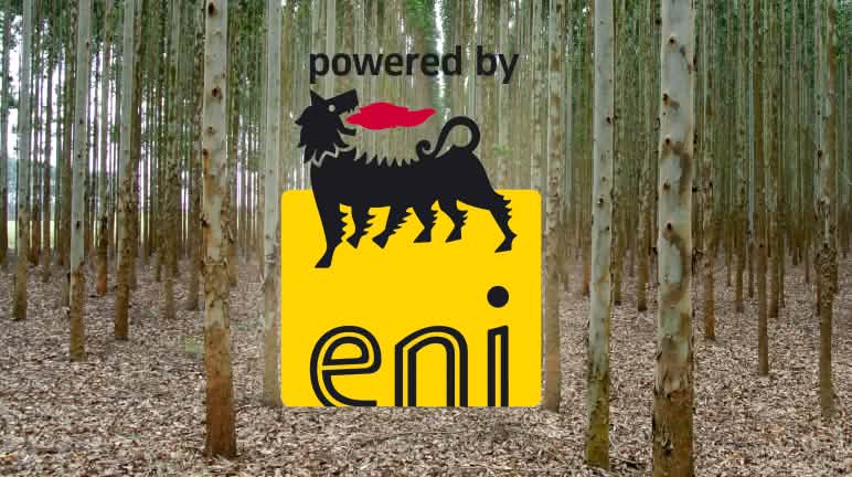 Plantage statt Natur: So will ENI das Klima retten Collage : Eukalyptus-Plantage mit Eni-Logo