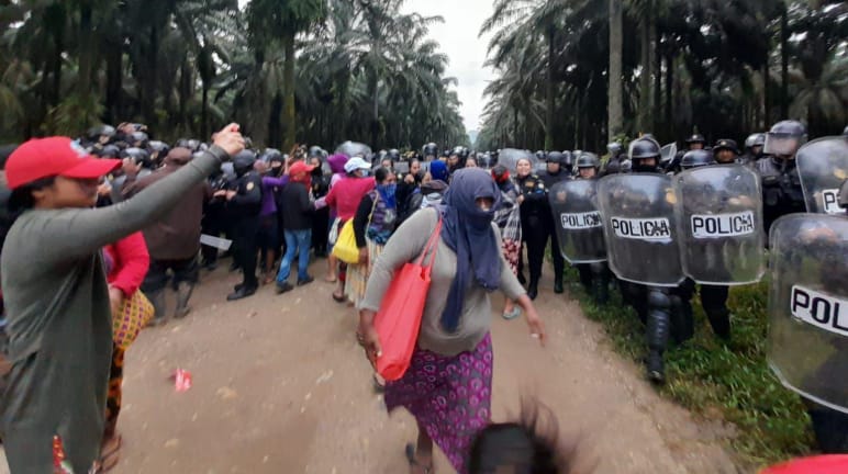 Eine Gruppe Maya protestiert auf der linken Bildseite, während Polizeieinheiten mit Schutzhelmen und Schilden auf der rechten Bildseite unter Ölpalmen vorrücken