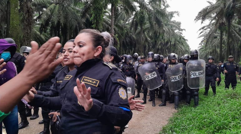 Eine große Gruppe von Polizisten mit Schutzhelmen und Schilden rücken auf einer Piste in einer Ölpalmplantage vor