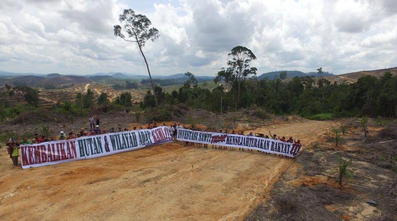 Proteste gegen Palmöl im Regenwald von Borneo