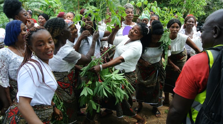 Frauen feiern das Kassava-Fest, Nigeria