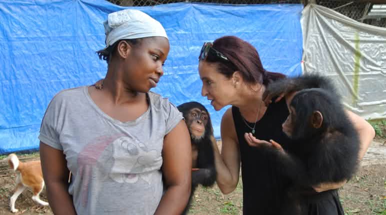 Jenny Desmond und ihre Mitarbeiter kümmern sich um die Schimpansen Schimpansen-Auffangstation nahe Monrovia,