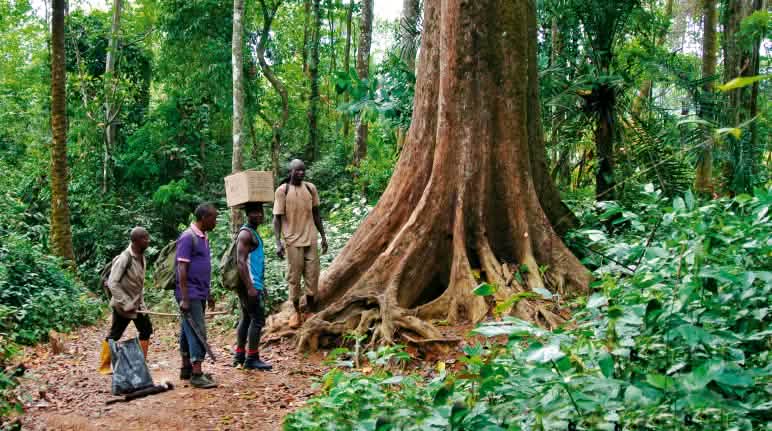 Die indigenen Ekuri bewahren ihren Wald seit Generationen Eco Guards im Regenwald