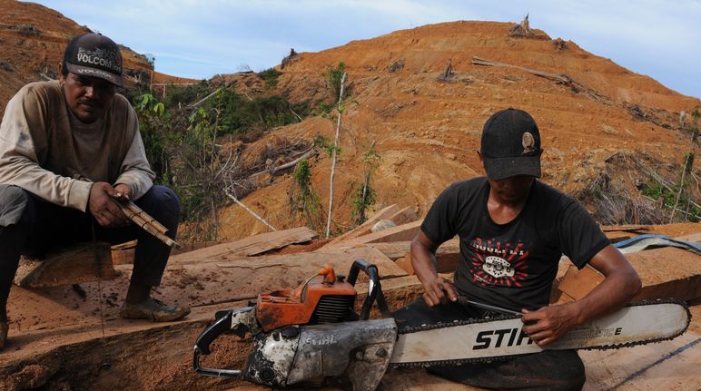 Holzfäller auf Borneo mit Motorsäge von Stihl