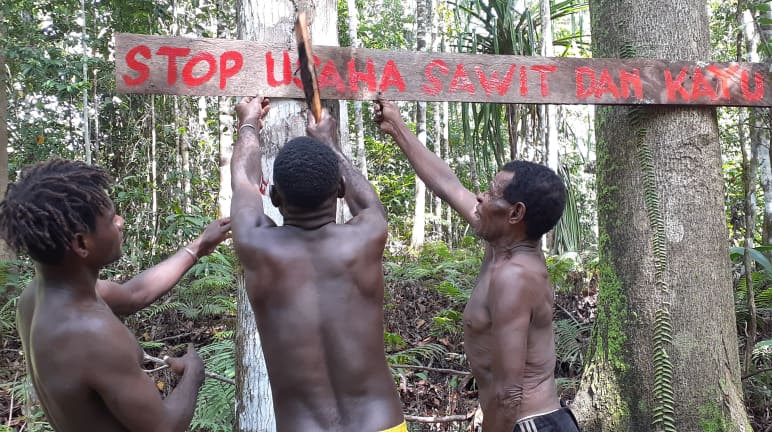 drei Papua verteidigen ihren Wald mit Schild