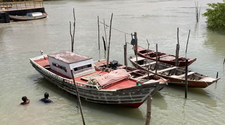 Fischerboote im Mangrovenwald bei Alcântara Drei Fischerboote und zwei Schwimmer im trüben Wasser eines Mangrovenwaldes