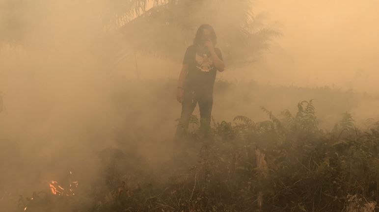 Brände beim Dorf Puding, Distrikt Muaro Jambi, Sumatra, September 2019