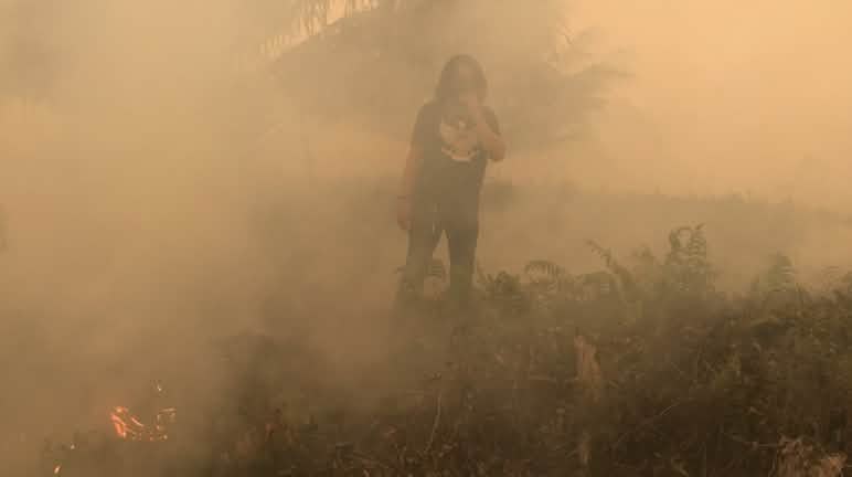 Feuer vernichtet Wälder, Rauch verklebt die Lungen Brände beim Dorf Puding, Distrikt Muaro Jambi, Sumatra, September 2019