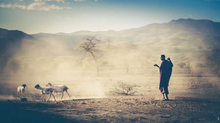 Hirten vom Volk der Massai leiden seit Jahrzehnten unter Gewalt Viehhirte in Tansania, Massai