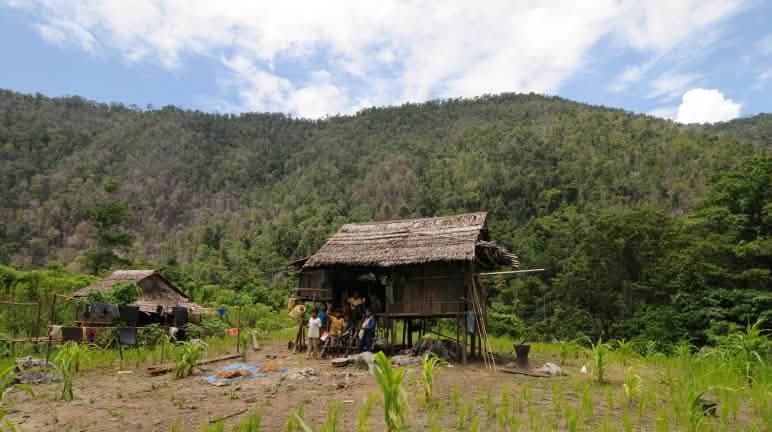 Die Wana Posangke können nun allein über ihr Land und ihren Wald verfügen Menschen stehen vor einer Hütte im Wald
