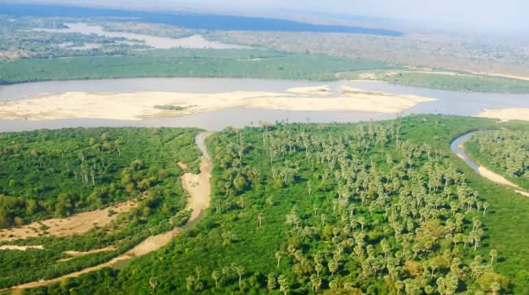 Wird der Fluss Rufiji gestaut, verschwinden große Savannen-Gebiete in einem Stausee Flug über dem Rufiji-Fluss im Selous Game Reserve in Tansania