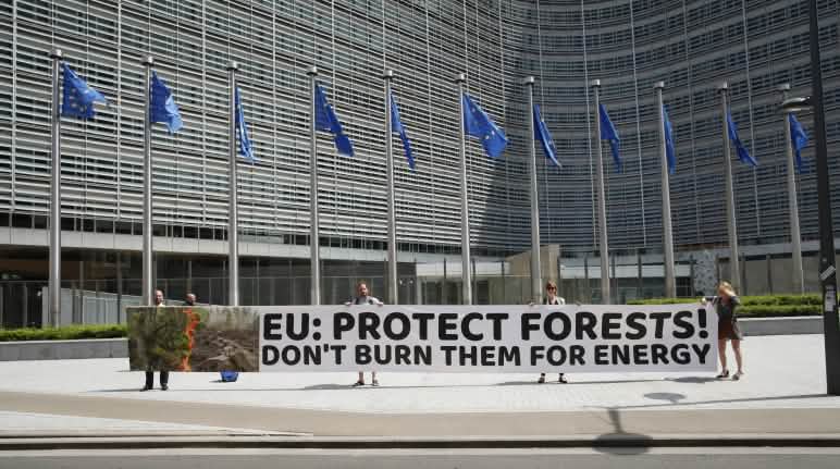 Die Umweltschützerinnen und Schützer protestieren vor dem Gebäude der EU-Kommission in Brüssel mit einem Banner mit der Aufschrift „EU: Schütze die Wälder! Verbrenne sie nicht zur Energieerzeugung“ Petitionsübergabe in Brüssel