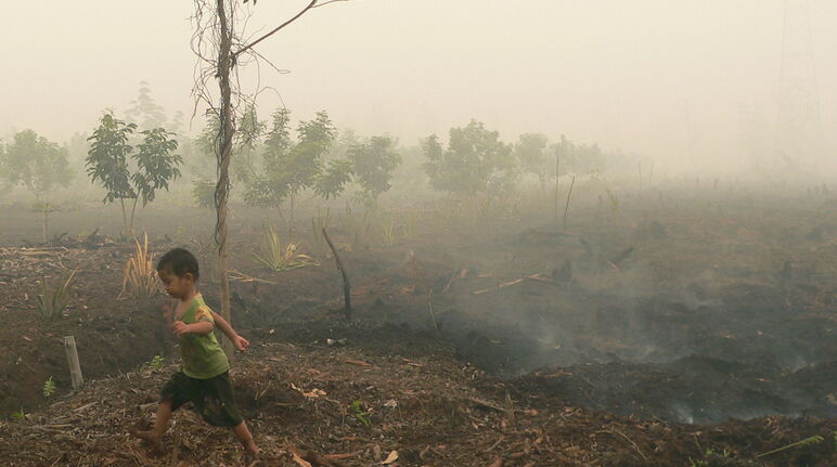Kind läuft über glimmenden Torf in Katingan auf Borneo