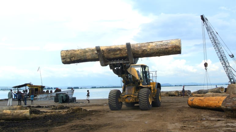 Holzverladung im Hafen von Kinshasa
