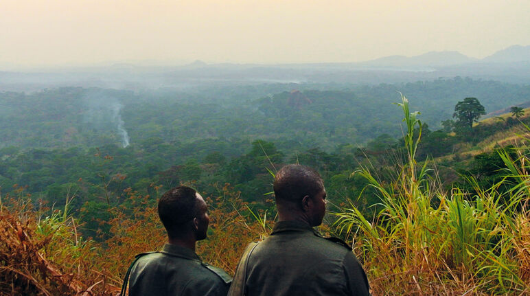 Aussicht Nigeria