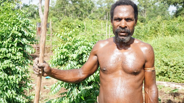 Papua vom Gebze-Clan aus Merauke - Konflikt mit Papierkonzern Moorim