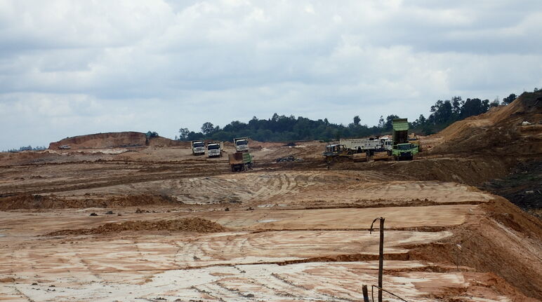 First Resources zerstört Nasenaffen-Wald bei Balikpapan