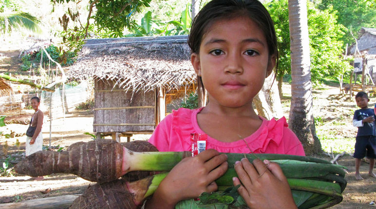 Mädchen trägt große Staude Taro-Gemüse im Arm, im Hintergrund Dorfhütten